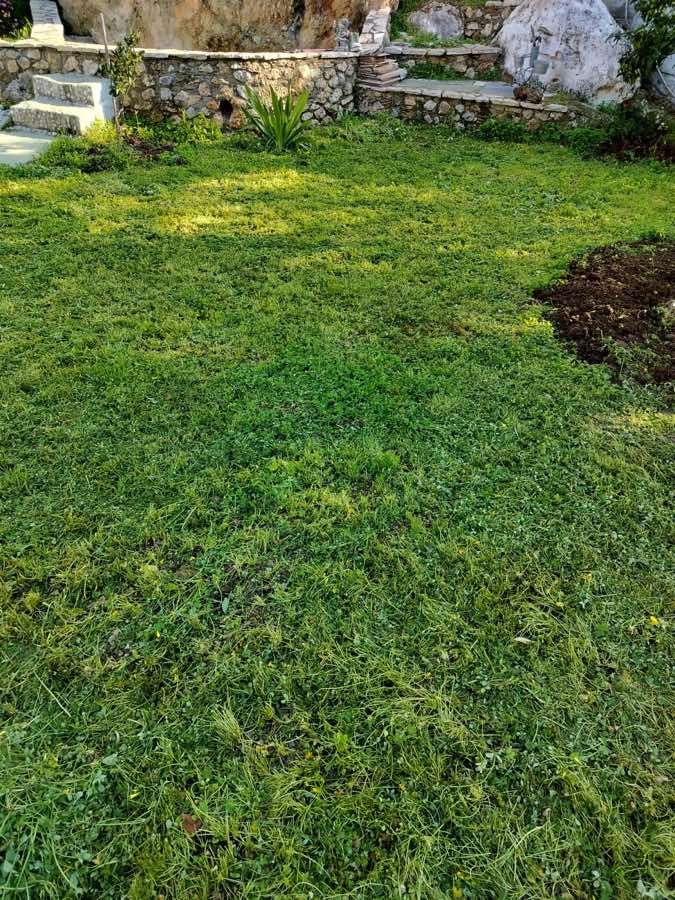 Lawn and garden grounds at Porto Germeno Villa