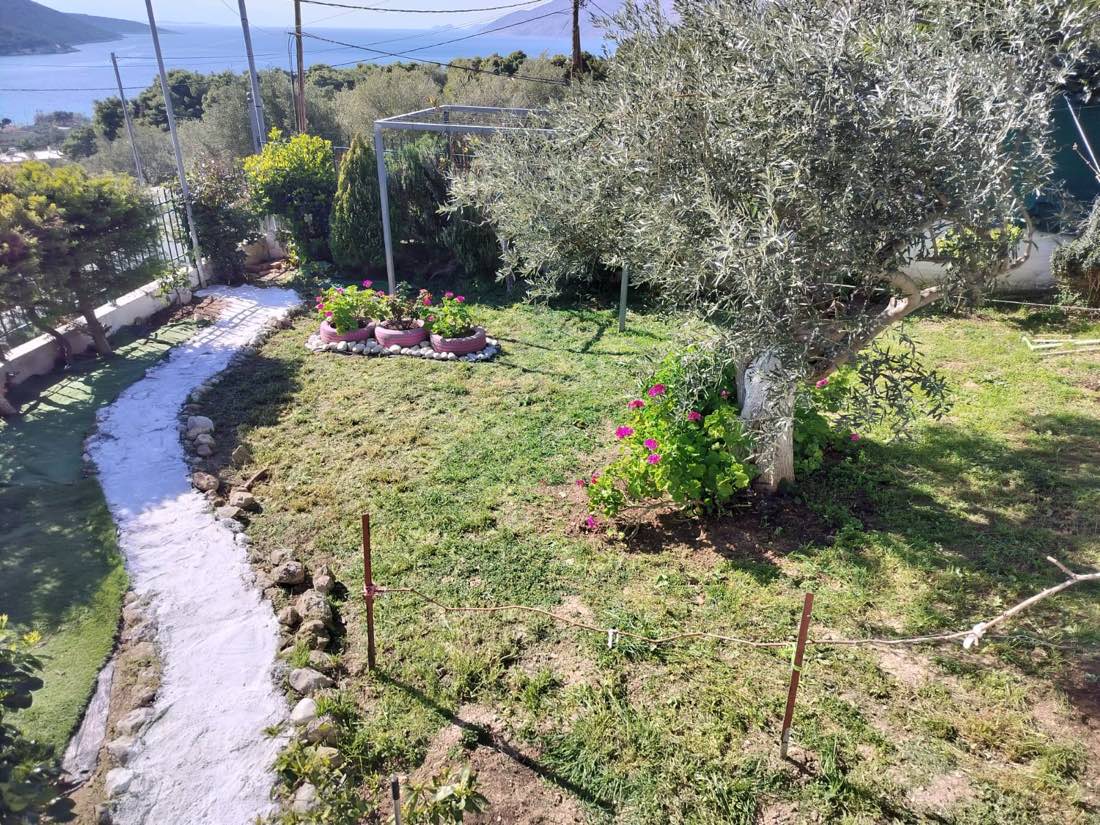 Villa garden with olive tree and sea view at Porto Germeno Villa