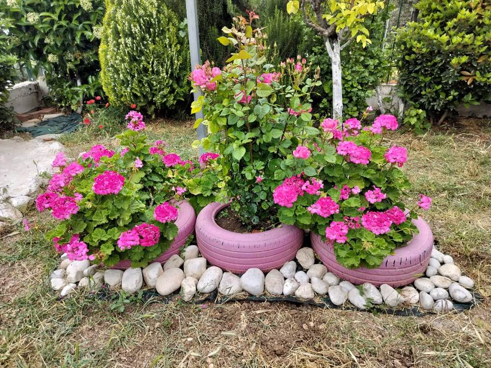 Flowering garden planters at Porto Germeno Villa