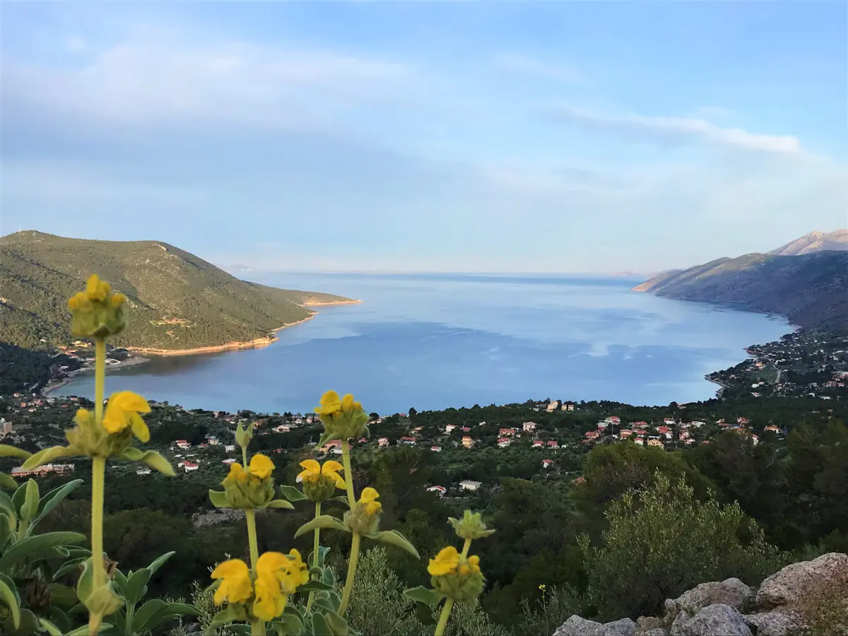 Hillside view over Porto Germeno bay with wildflowers in the foreground and the village below